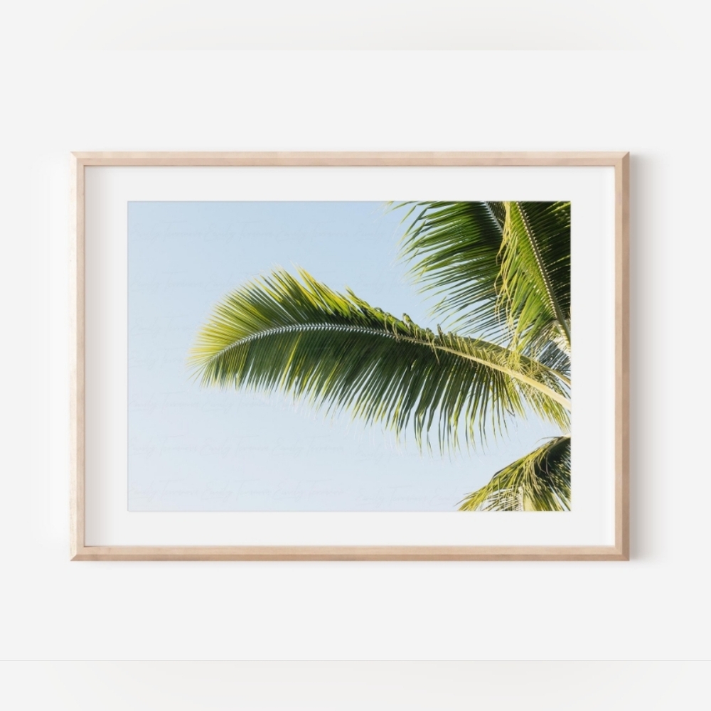 Palm Paradise 8x12 Unframed Photography Print